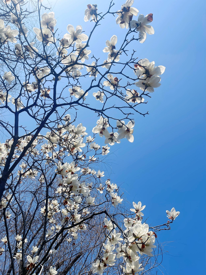 开云体育平台在线-宁波现树上羽毛球奇观引网友晒图|浙江队|浙江省|宁波市|宁波同城|浙江_新浪体育_新浪新闻